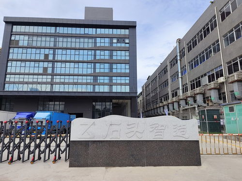 小家電 出海 記 打造產(chǎn)品力 揚帆拓市場